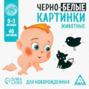 Фото Развивающая игра для новорожденных Черно-белые картинки, 20 карт А5