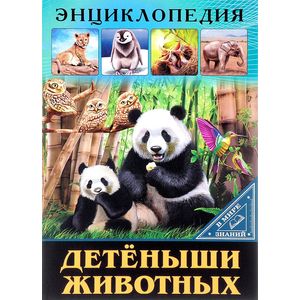Фото Детеныши животных