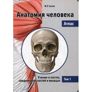 Фото Анатомия человека. Атлас. Учебное пособие. В 3-х томах. Том 1: Учение о костях, соединениях костей и мышцах