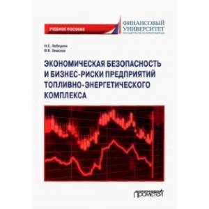 Фото Экономическая безопасность и бизнес-риски предприятий топливно-энергетического комплекса