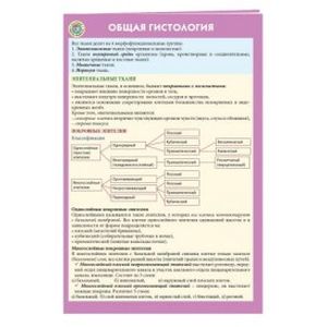 Фото Общая гистология
