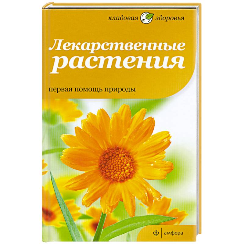 Фото Лекарственные растения. Первая помощь природы