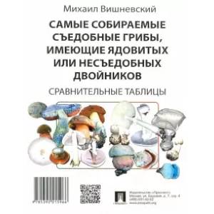 Фото Самые собираемые съедобные грибы, имеющие ядовитых двойников. Сравнительные таблицы