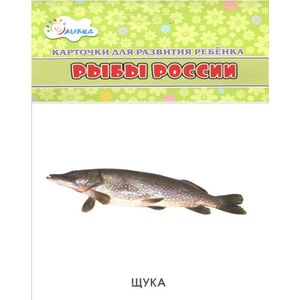 Фото Рыбы России (набор из 12 карточек)