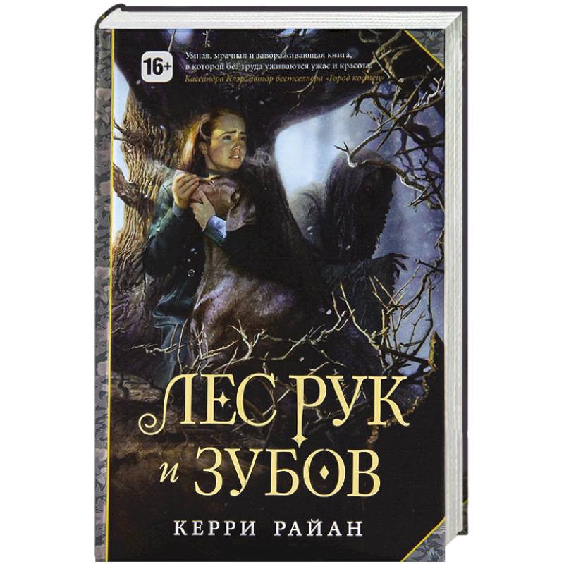 Фото Лес Рук и Зубов