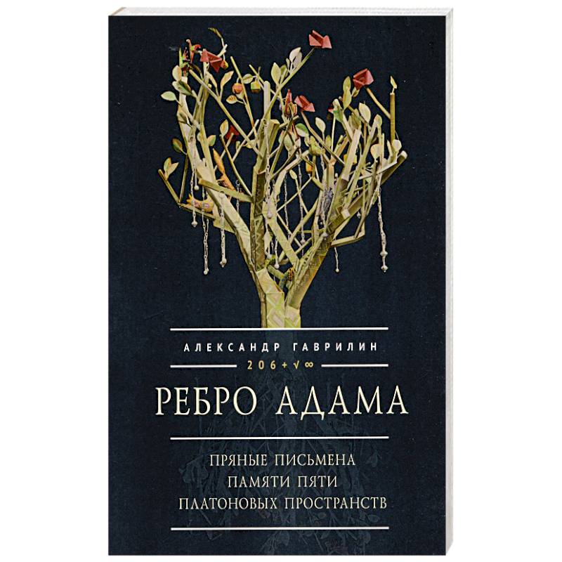 Фото Ребро Адама. Пряные письмена памяти пяти Платоновых пространств