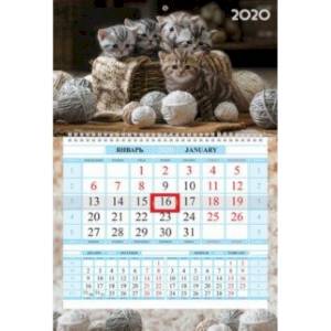 Фото 2020г. Календарь квартальный, 1 блок, Соло-Люкс, Пушистые котята (1Кв1гр4ц_20730)