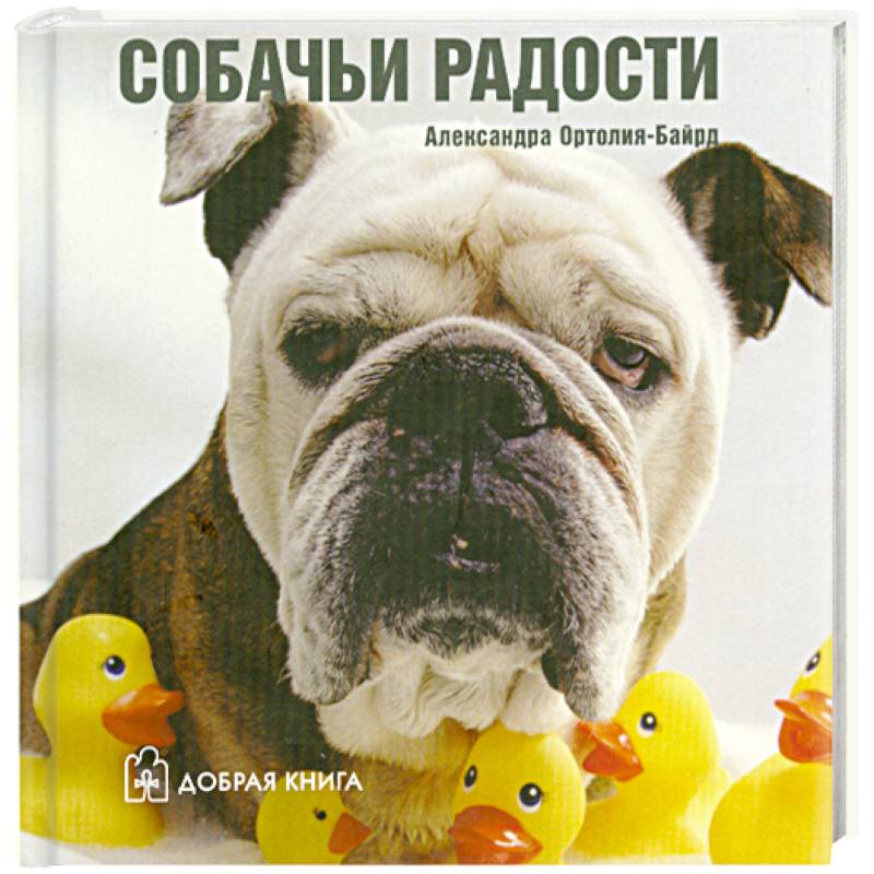 Фото Собачьи радости