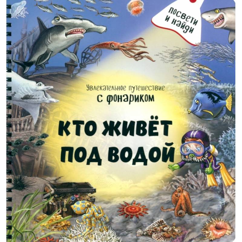 Фото Кто живёт под водой?
