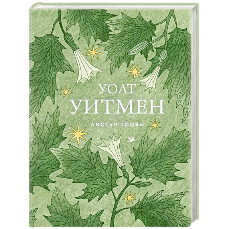 Фото Листья травы