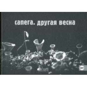 Фото Сапега. Другая весна