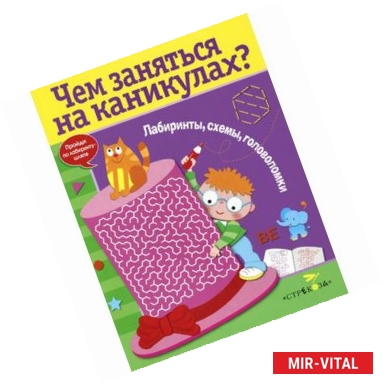 Фото Чем заняться на каникулах? Лабиринты, схемы, головоломки. Выпуск 6