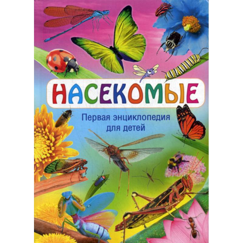 Фото Насекомые