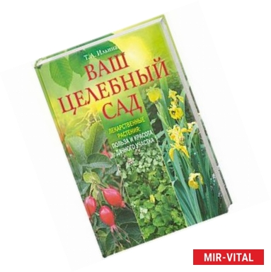 Фото Ваш целебный сад. Лекарственные растения. Польза и красота дачного участка