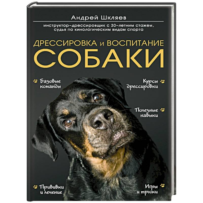 Фото Дрессировка и воспитание собаки