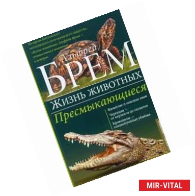 Фото Пресмыкающиеся