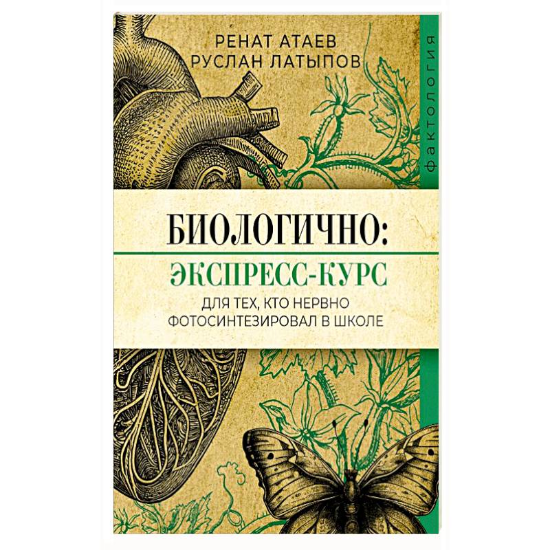 Фото Биологично: экспресс-курс для тех, кто нервно фотосинтезировал в школе