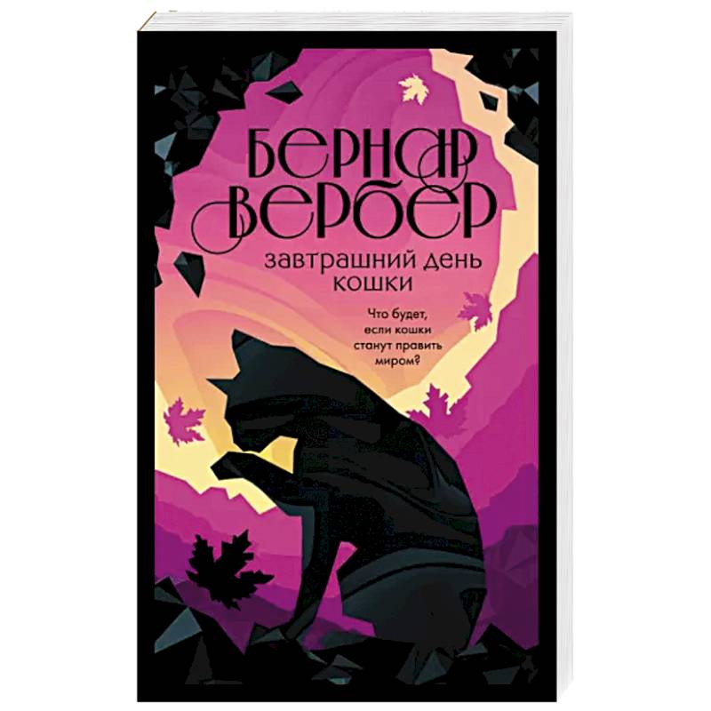 Фото Завтрашний день кошки