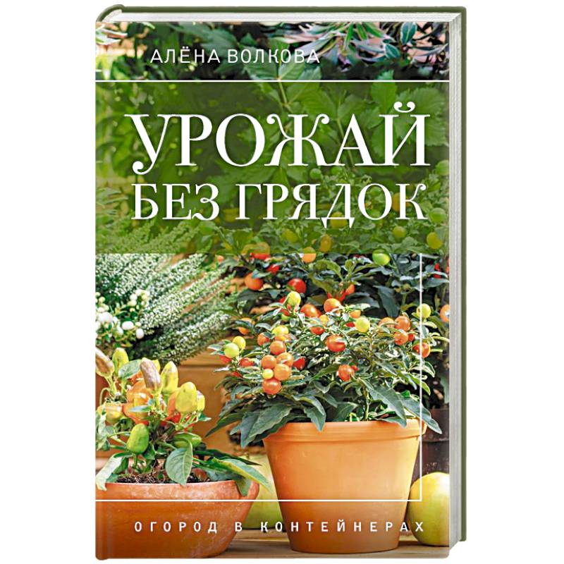 Фото Урожай без грядок. Огород в контейнерах