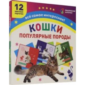 Фото Самые популярные породы кошек: 12 карточек с изображением. ФГОС. ФГОС ДО