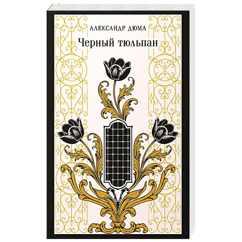Фото Черный тюльпан