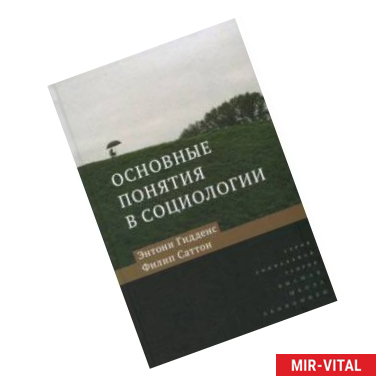 Фото Основные понятия в социологии