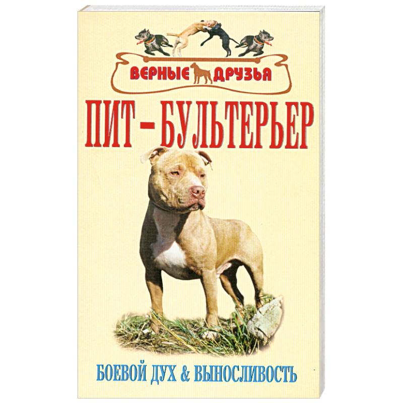Фото Пит-бультерьер