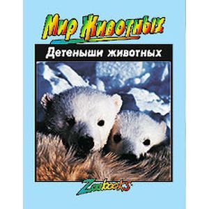 Фото Детеныши животных