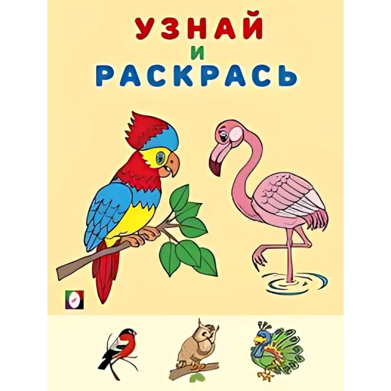 Фото Фламинго