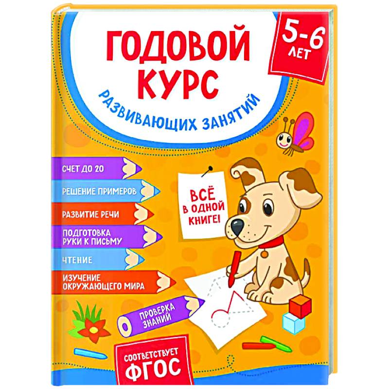 Фото Годовой курс развивающих занятий для детей 5-6 лет