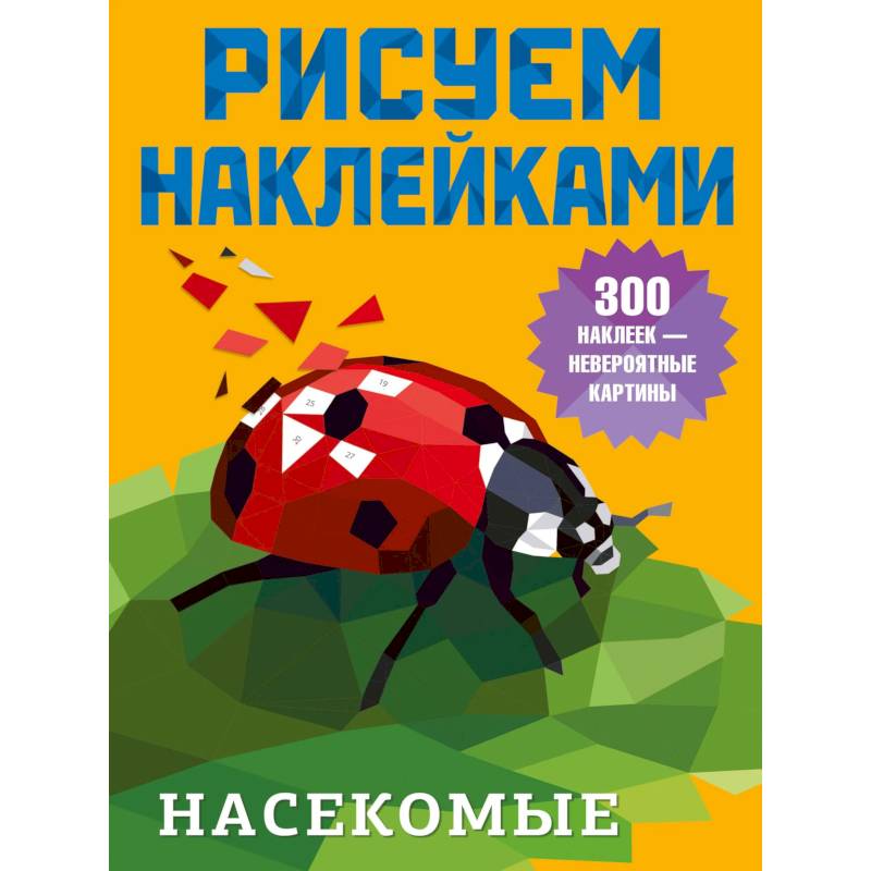 Фото Насекомые