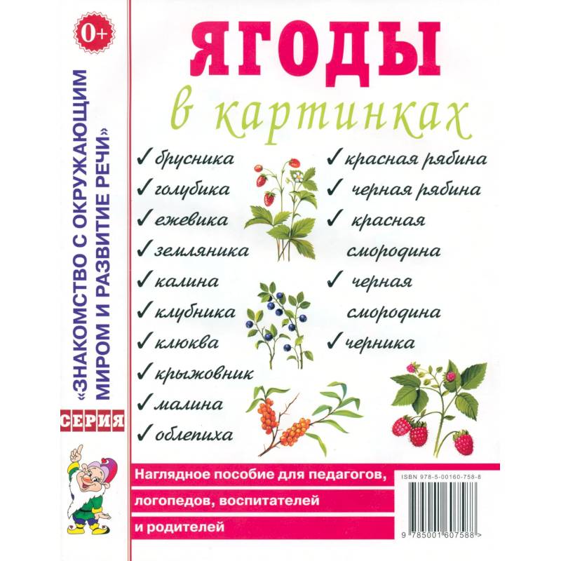 Фото Ягоды в картинках