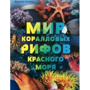 Фото Мир коралловых рифов Красного моря