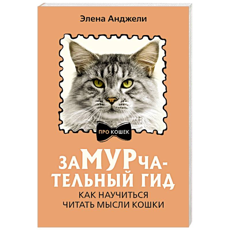 Фото ЗаМУРчательный гид. Как научиться читать мысли кошки