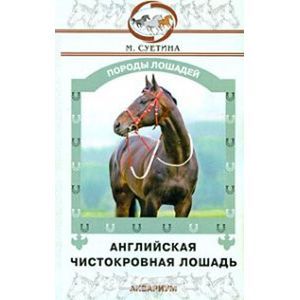 Фото Английская чистокровная лошадь