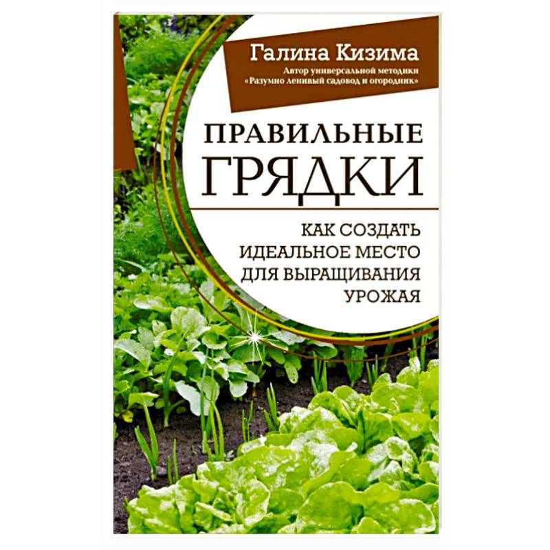 Фото Правильные грядки. Как создать идеальное место для выращивания урожая