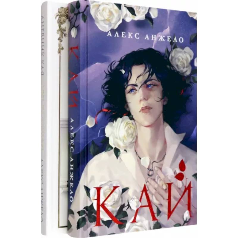 Фото Комплект Кай + Арт-блокнот Дневник Кая