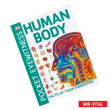 Фото Human Body. Facts at Your Fingertips