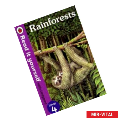 Фото Rainforests