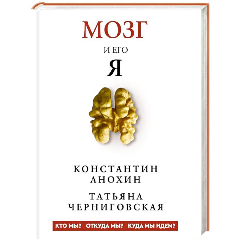 Фото Мозг и его “Я”. Кто мы? Откуда мы? Куда мы идем?