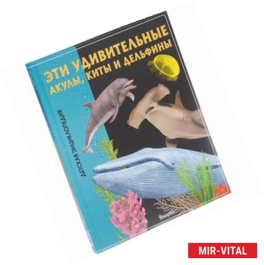 Фото Эти удивительные акулы, киты и дельфины