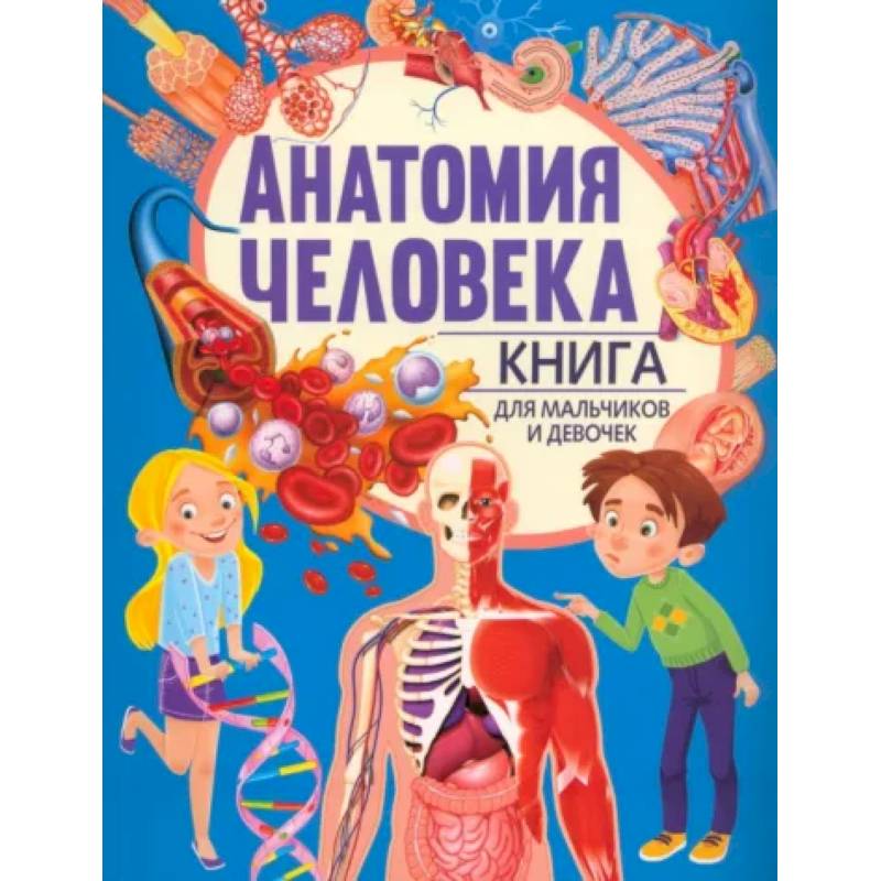 Фото Анатомия человека. Книга для мальчиков и девочек