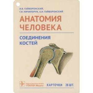 Фото Анатомия человека. Соединения костей. Карточки. Наглядное учебное пособие