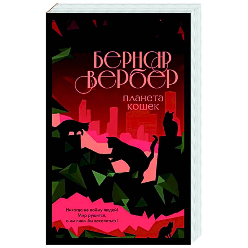 Фото Планета кошек