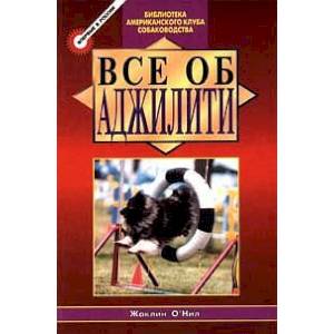 Фото Все об аджилити