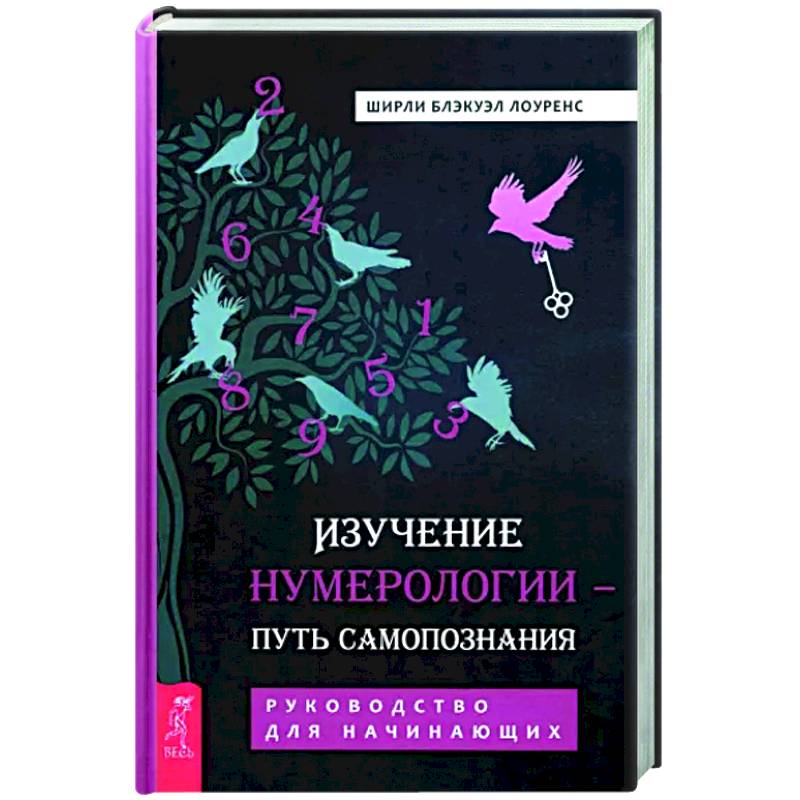 Фото Изучение нумерологии — путь самопознания. Руководство для начинающих