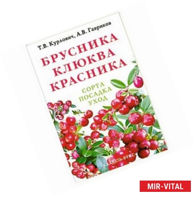 Фото Брусника, клюква, красника : сорта, посадка, уход