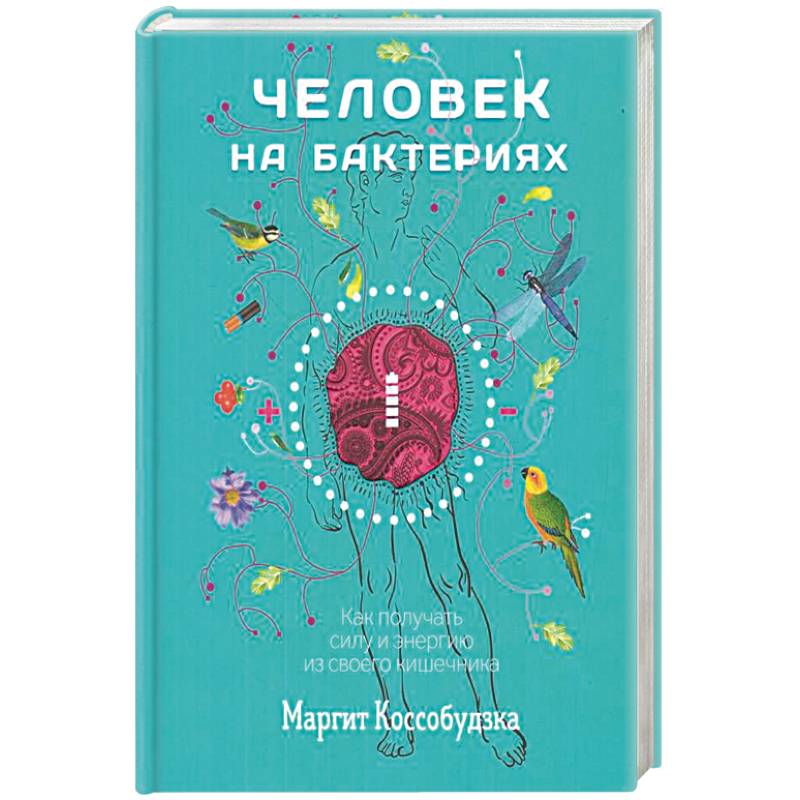 Фото Человек на бактериях. Как получить силу и энергию из своего кишечника