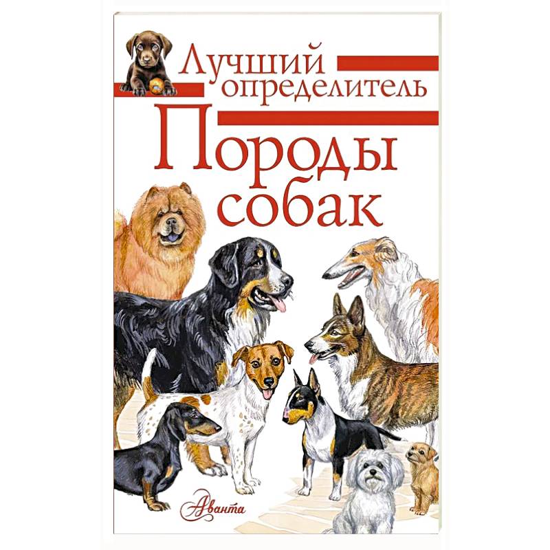 Фото Породы собак. Определитель