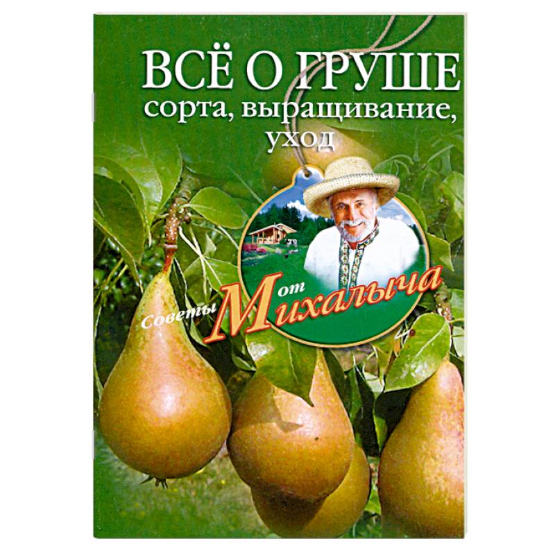Фото Все о груше. Сорта, выращивание, уход